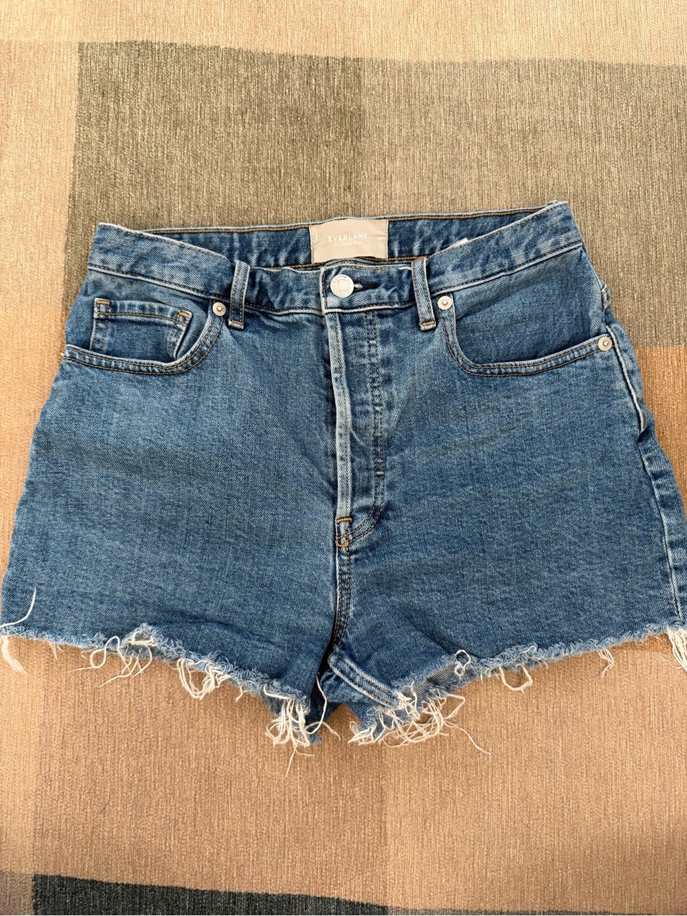 Everlane Cheeky Short